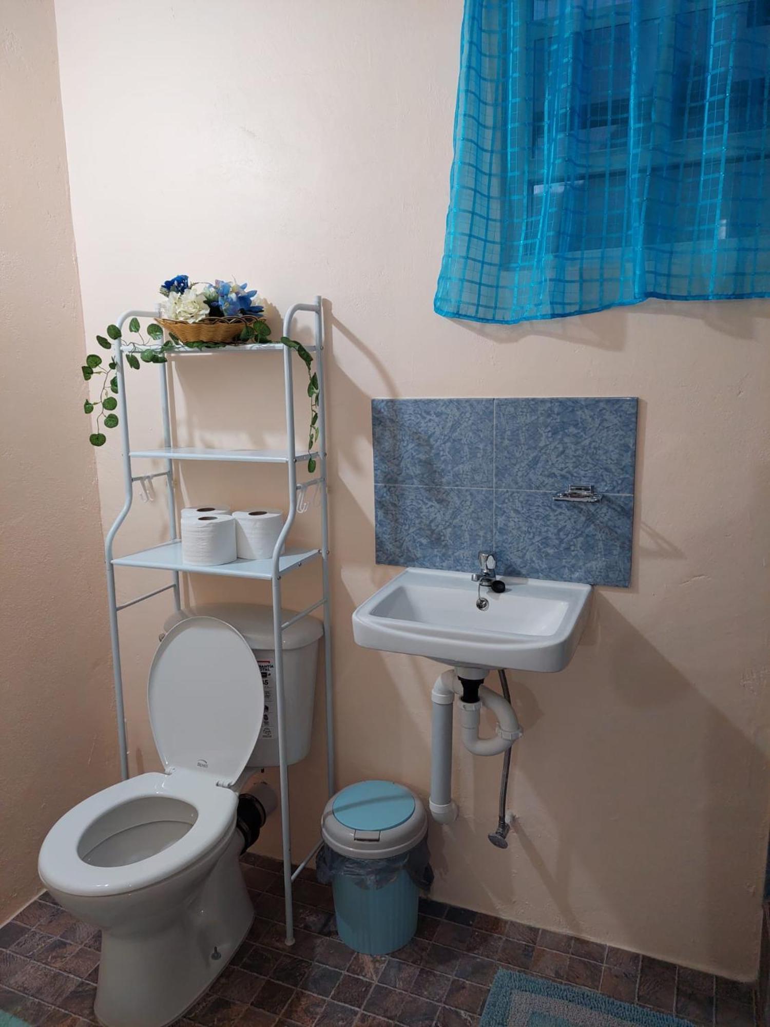 Salz Cozy Inn Roseau Esterno foto